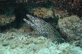 Curacao 04-12 204